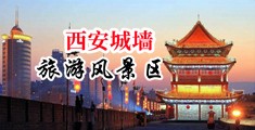靠大骚逼网站中国陕西-西安城墙旅游风景区